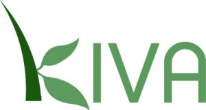 Kiva.org, microfinance loans against poverty