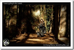 Ivana cycling in the woods