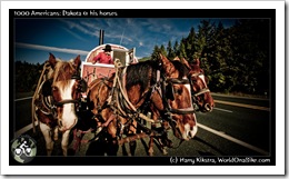 1000 Americans: Dakota & his horses
