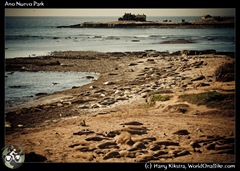 Ano Nuevo Park