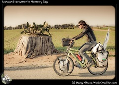 Ivana and cactustree in Monterey Bay