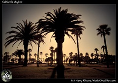 California skyline