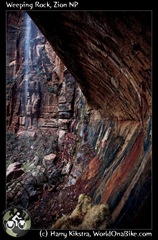 Weeping Rock, Zion NP