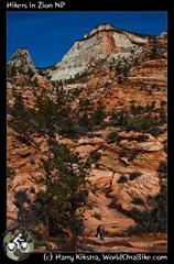 Hikers in Zion NP