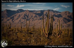 Sunset in Baja California, Mexico