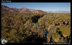 Oasis Mulege