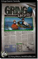 Gringo Gazette: Swineflu