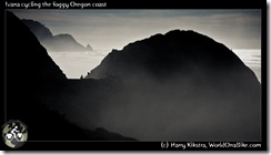 Ivana cycling the foggy Oregon coast