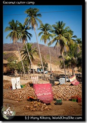 Coconut cutter camp