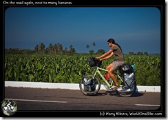 On the road again, next to many bananas