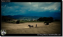 Farmer in field