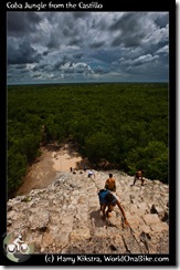 Coba Jungle from the Castillo