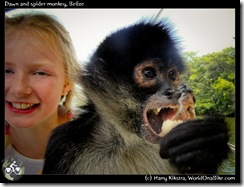 Dawn and spider monkey, Belize