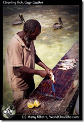 Cleaning fish, Caye Caulker