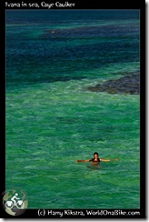 Ivana in sea, Caye Caulker